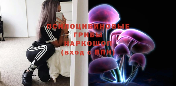 эйфоретик Армянск