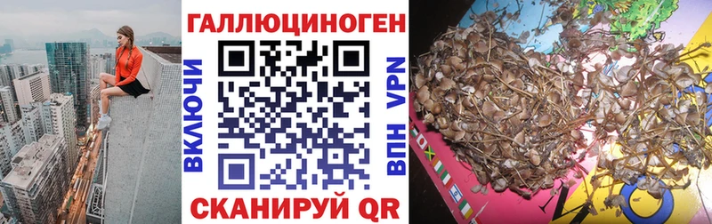 Псилоцибиновые грибы GOLDEN TEACHER  hydra маркетплейс  Судогда  купить закладку 